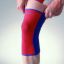 Picture of JASPER KNEE STABILIZER WITH 2METAL XXL  005
