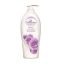 Picture of ENCHANTEUR TALC ALLURING 250 G 6422