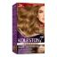 Picture of KOLESTON PACK 7/3 HAZEL BLONDE