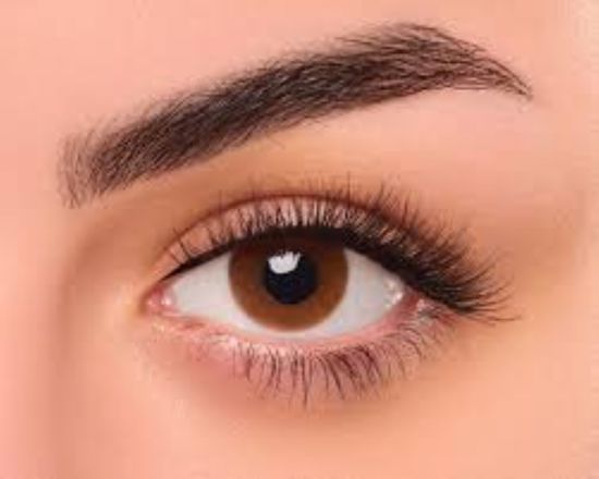 Picture of FRESHEYES DAILY LENS CINNIMON