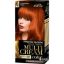 Picture of JOANNA FIERY RED DYE 43