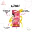 Picture of JASMINA FACE MASK WITH WHITE CLAY 15ML