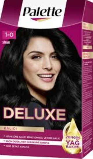 Picture of PALETTE DELUXE COLOR 1-0#