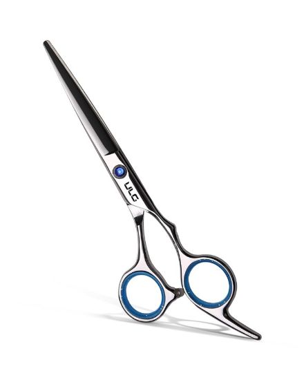 Picture of PROFESSIONAL HAIR SCISSORS